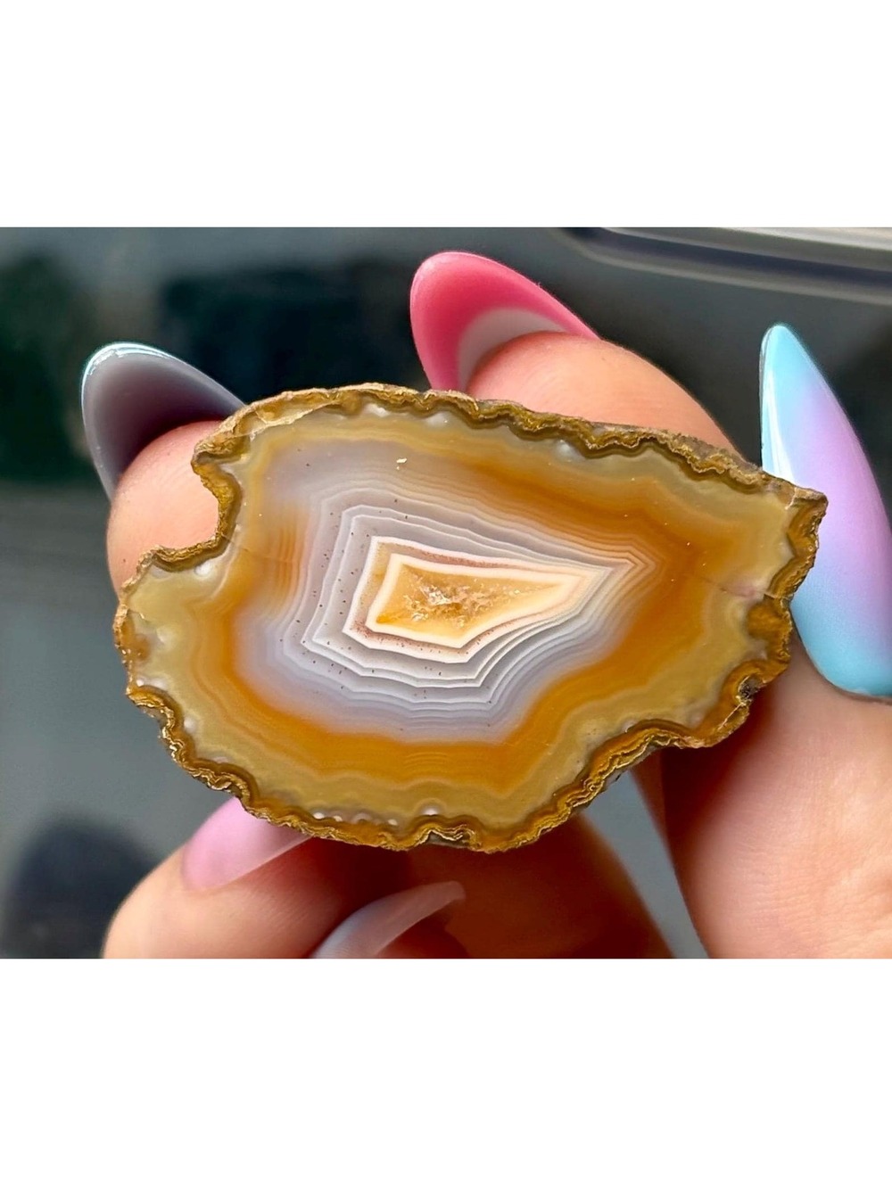 Condor Agate | Polished Banded Agate Pair | Argentina Crystal Specimen